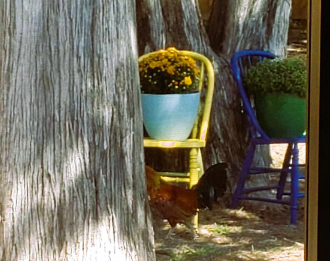 Midtown Southern Charm Tyler Εξωτερικό φωτογραφία